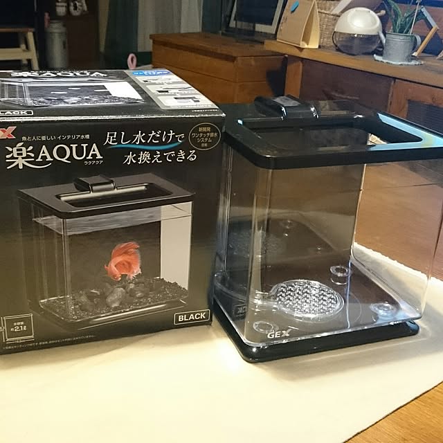 macoさんの実例写真