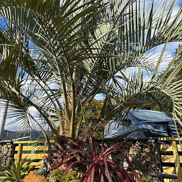 bonjiri0824さんの実例写真