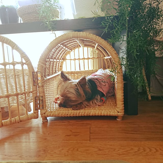 akiさんの実例写真
