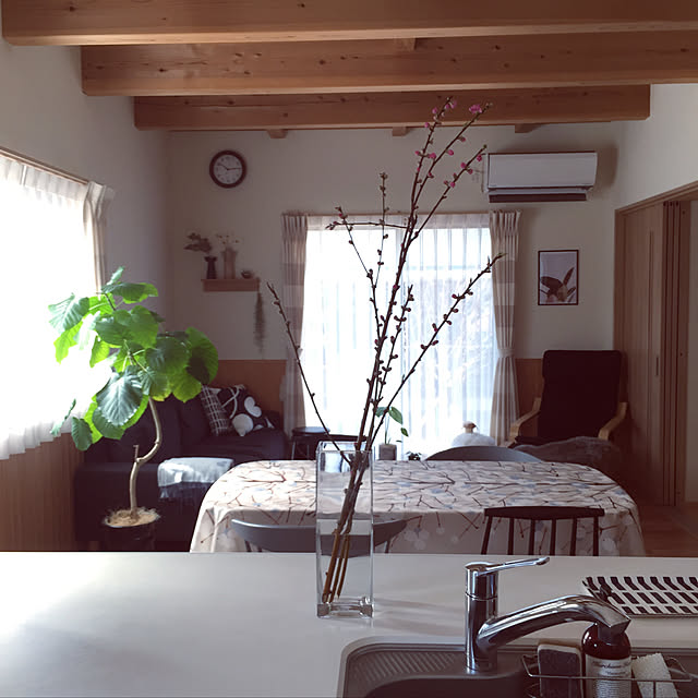 sorasoraさんの実例写真