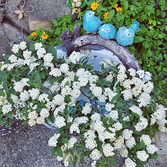 mocomocoさんの実例写真