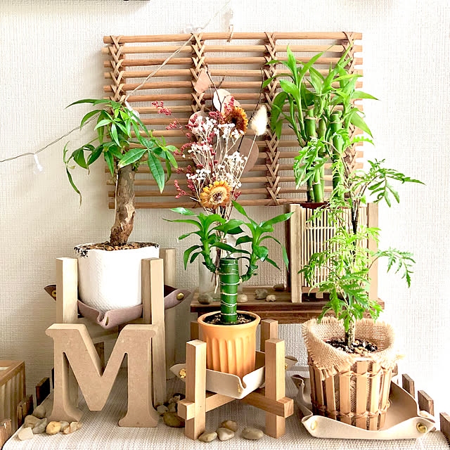 M_Mさんの部屋