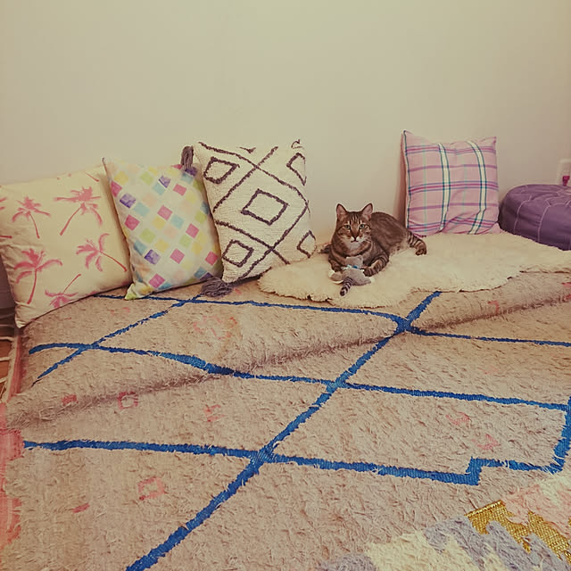 poniさんの実例写真