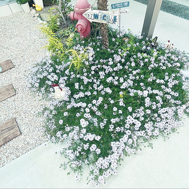 marinkoさんの実例写真