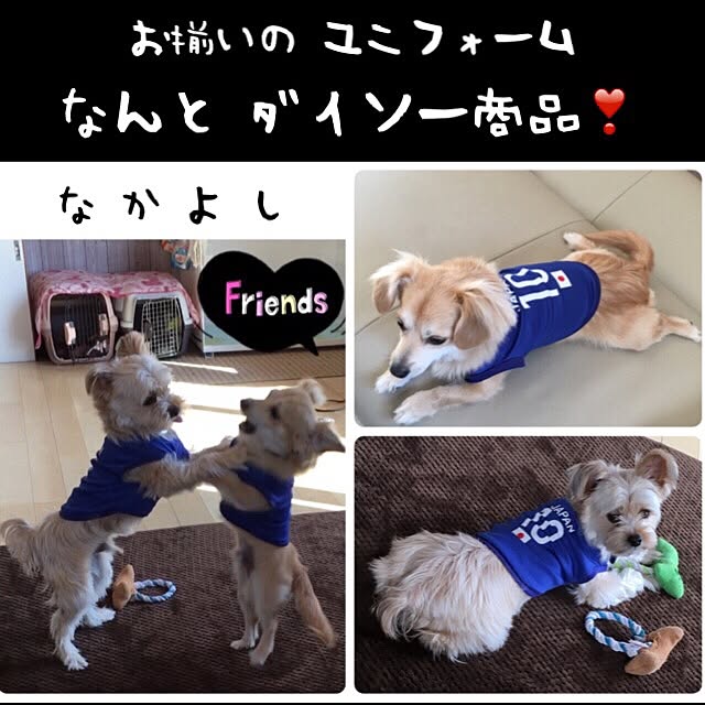 moncoeurさんの実例写真