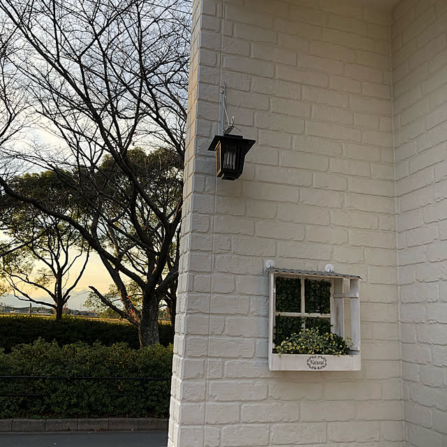 MMさんの実例写真