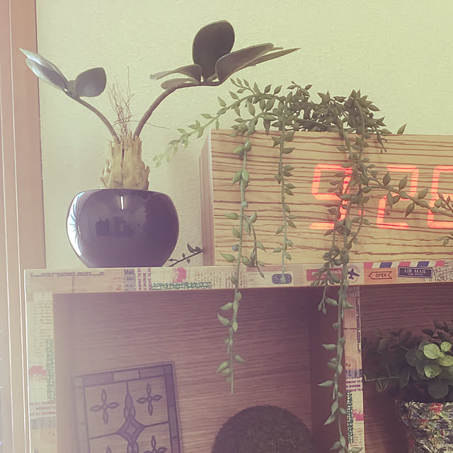 tak1124さんの実例写真