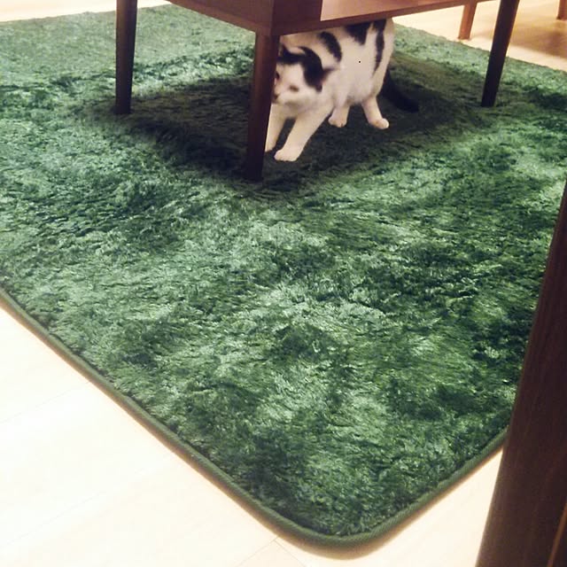 noguchiken0102さんの実例写真