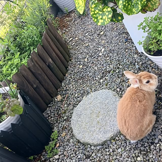 aiさんの部屋
