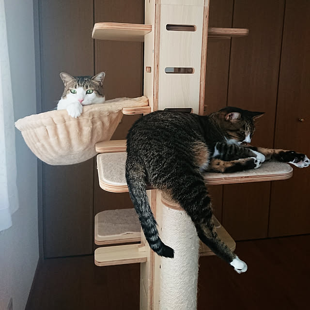 nachiさんの実例写真