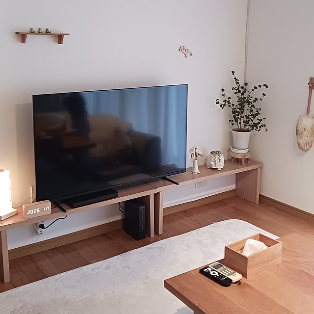 mizukingyoさんの実例写真