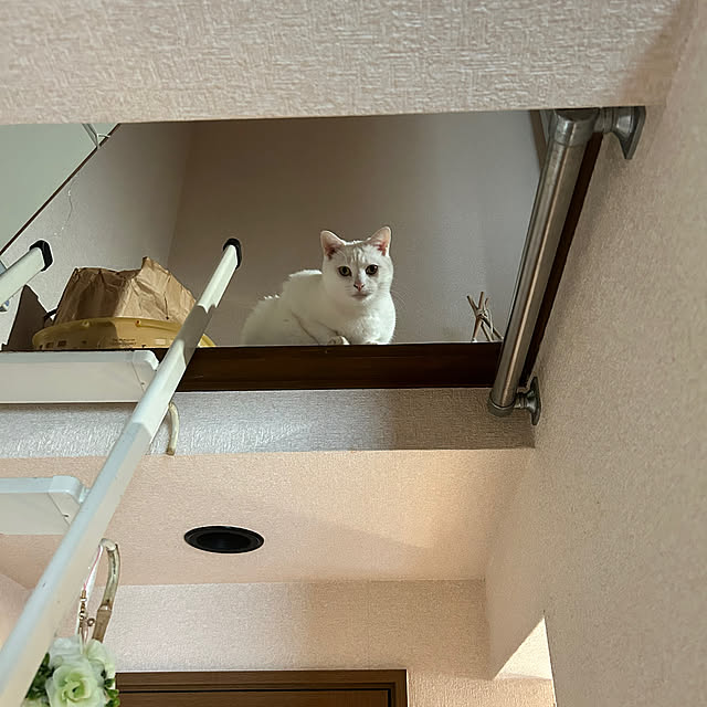 anyaさんの実例写真