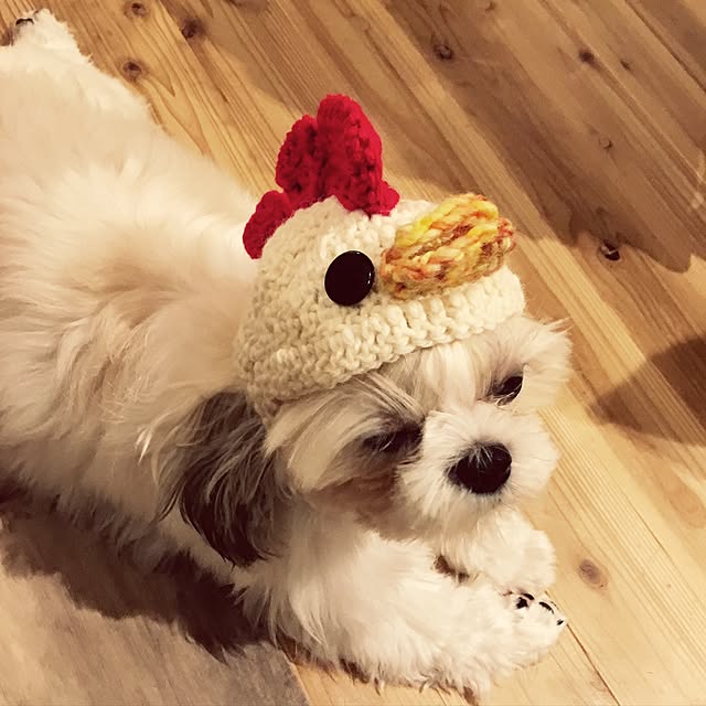 JASMINEさんの実例写真