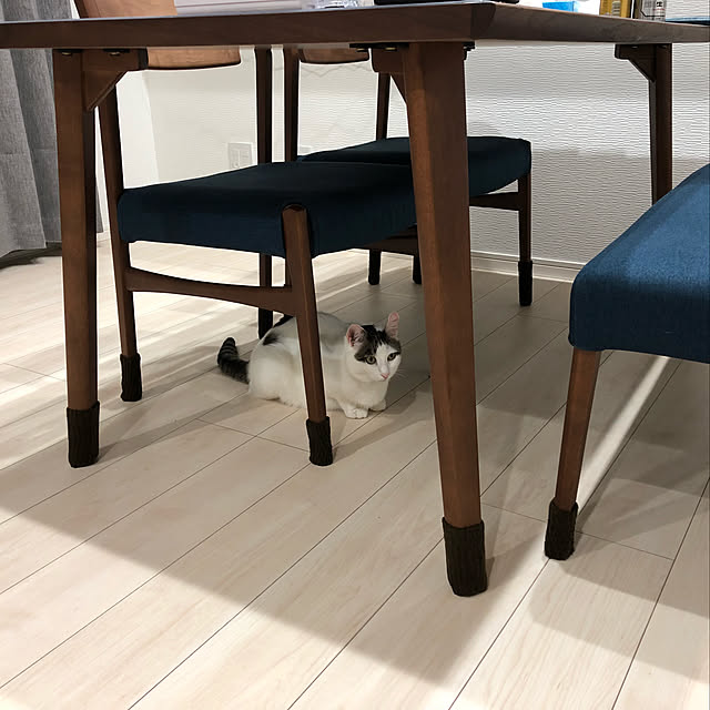 nnkttoさんの実例写真