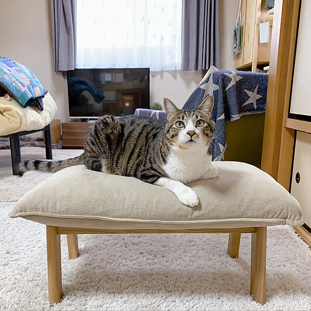 h0a4r1u3chiさんの実例写真