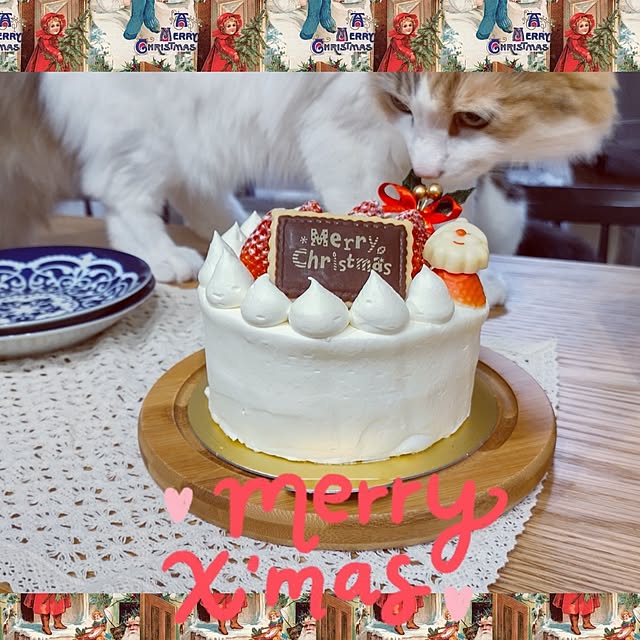 +CHIHARU+さんの実例写真