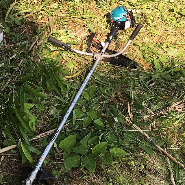 Shigeさんの実例写真
