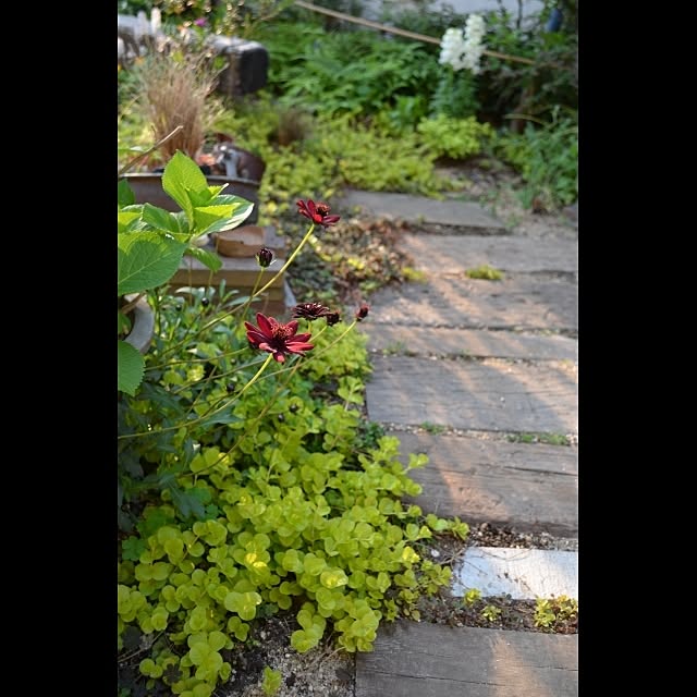 GreenWorksさんの実例写真