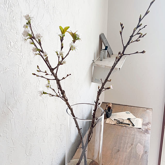 rookuさんの部屋
