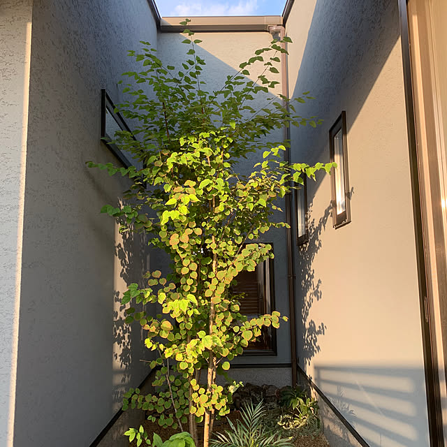 h_home.hさんの実例写真