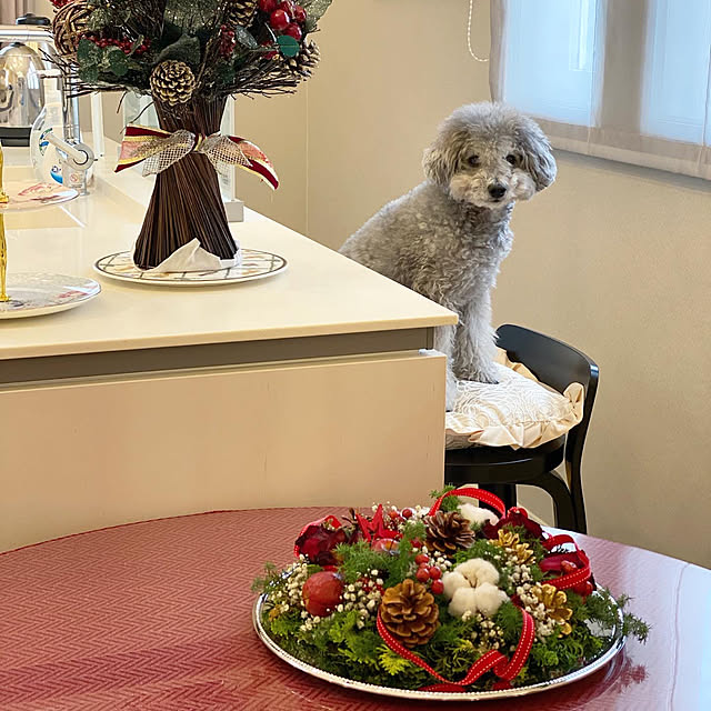 hokulonikoaさんの実例写真