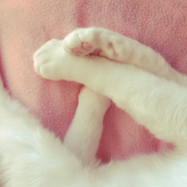 yuki48さんの実例写真