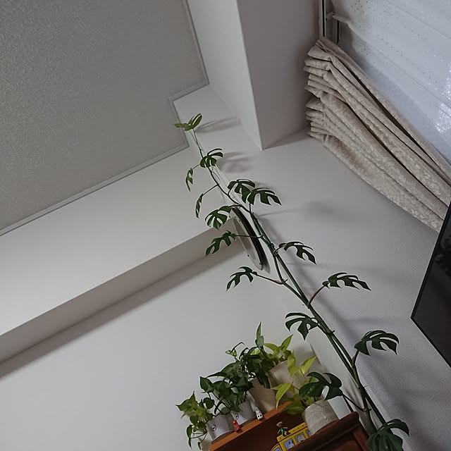 hopkeiさんの実例写真