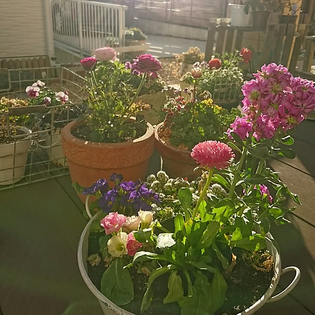 AoiAさんの実例写真