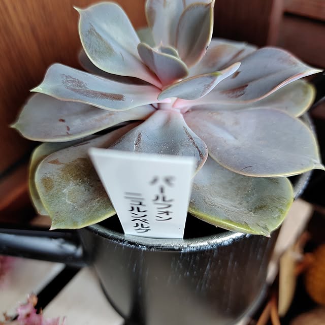 kiraさんの実例写真
