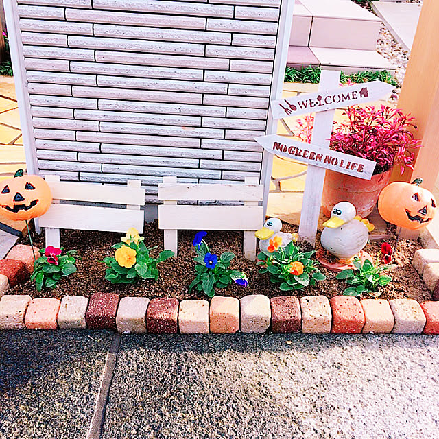 manachanさんの実例写真