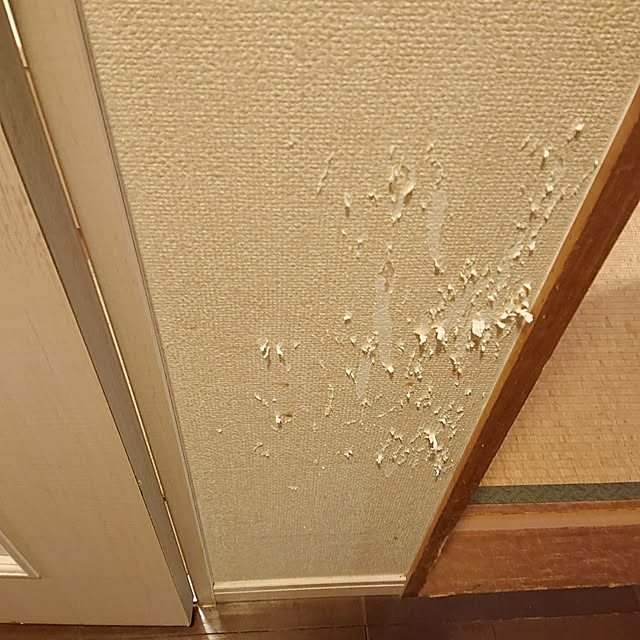 okyosan101さんの実例写真