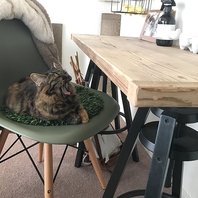 mikomaruさんの実例写真