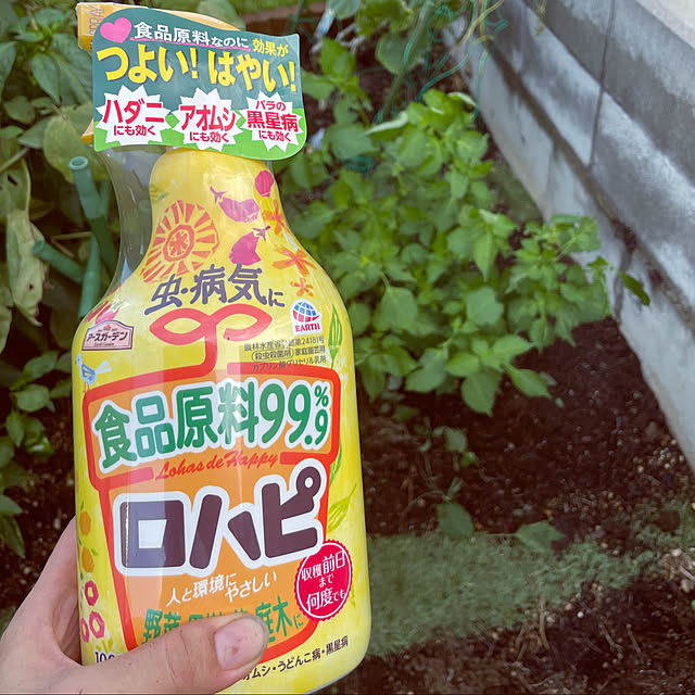 seiさんの実例写真