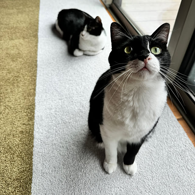 porinさんの実例写真