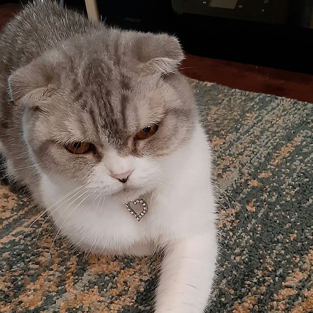 tosi66554さんの実例写真