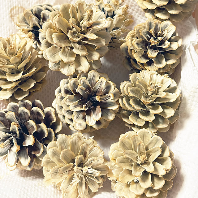 asako.10さんの部屋