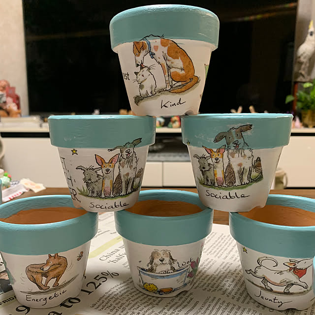 Aqettyさんの部屋