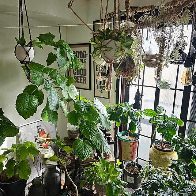 CYNOSさんの実例写真