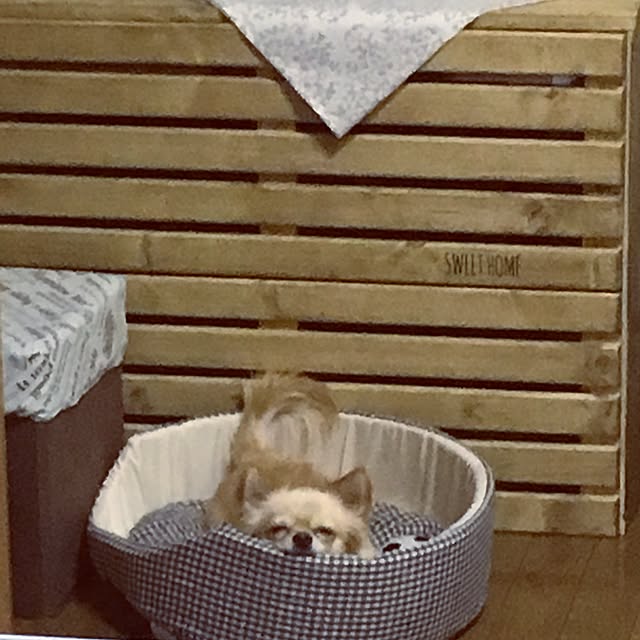 chi-koさんの実例写真