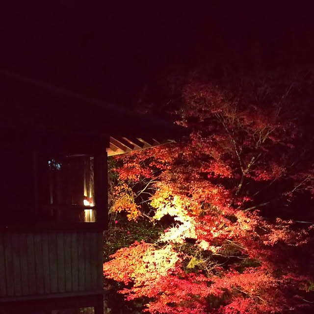 SHImさんの実例写真