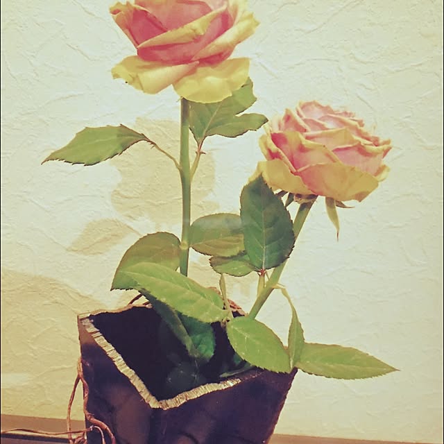 kojiさんの実例写真