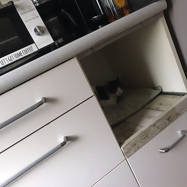 Akiさんの実例写真