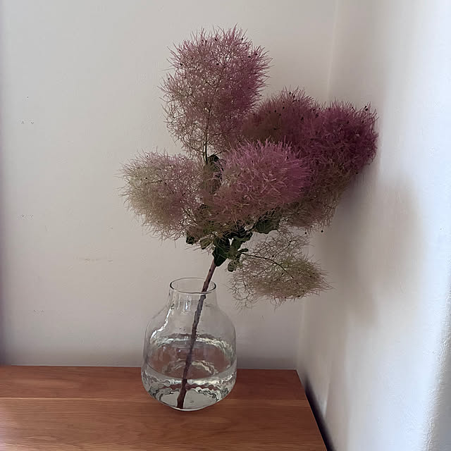 sakiさんの部屋