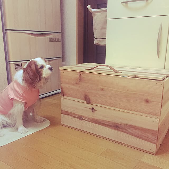 canmilmamaさんの実例写真