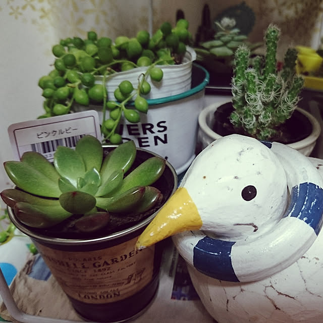 kogumaさんの実例写真