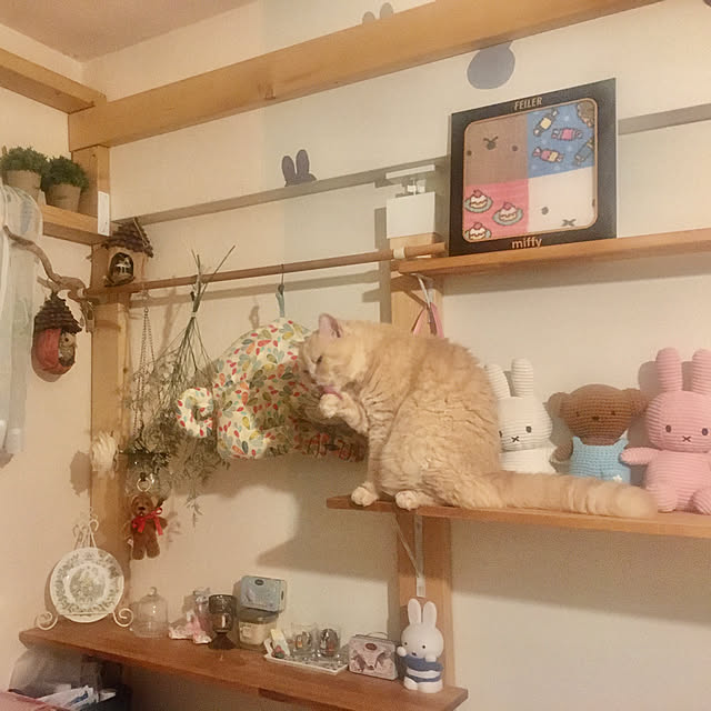 naokoさんの部屋