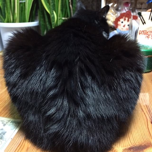 mikikoさんの実例写真