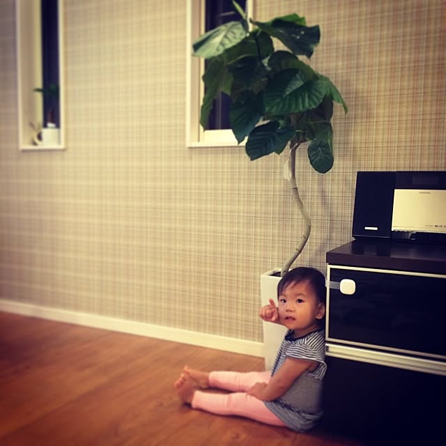 kicchanさんの実例写真