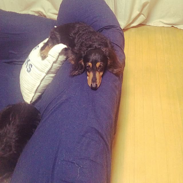 cocoさんの実例写真