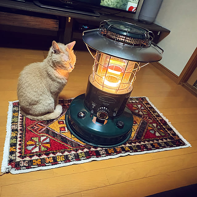 mikan161さんの実例写真